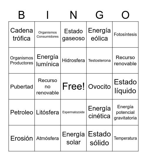 Bingo 7º básico Bingo Card