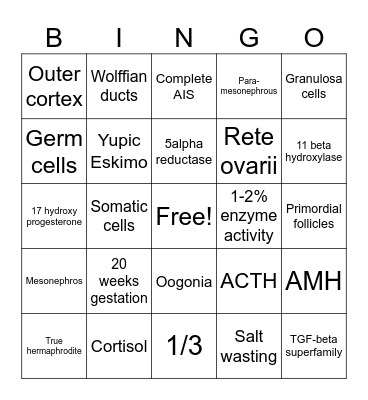 REI DSD Bingo Card