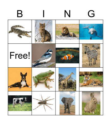 Animals! Bingo Card