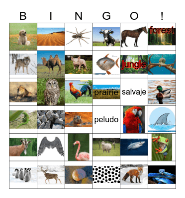 Spanish Animals Bingo Card