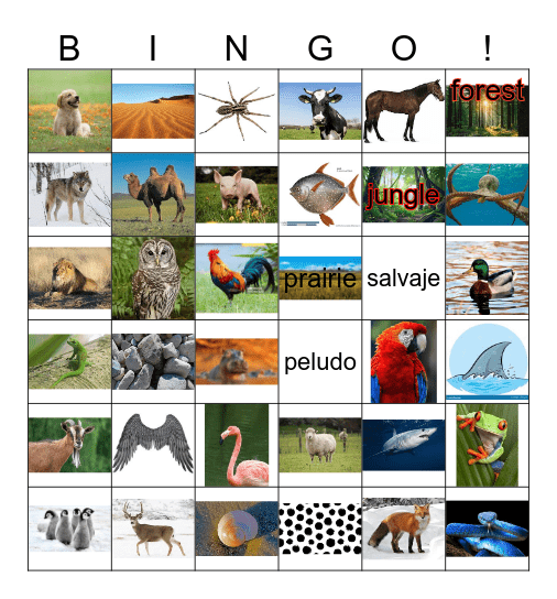 Spanish Animals Bingo Card