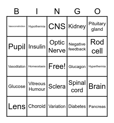 Recap bingo Card