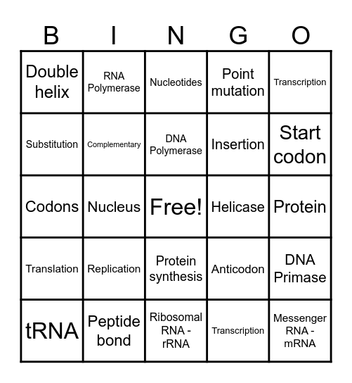 Protein Synthesis Bingo Card