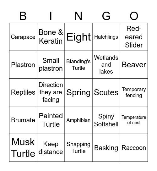 Turtle BINGO Card