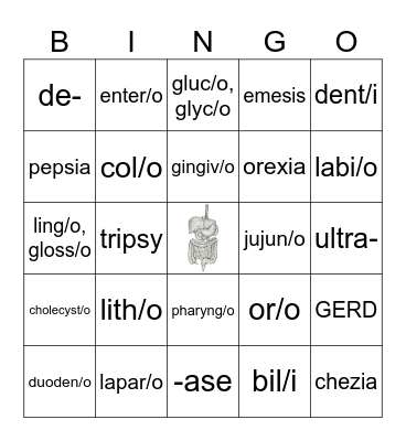 Digestive Word Parts Bingo Card