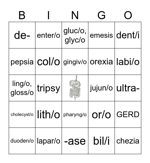 Digestive Word Parts Bingo Card