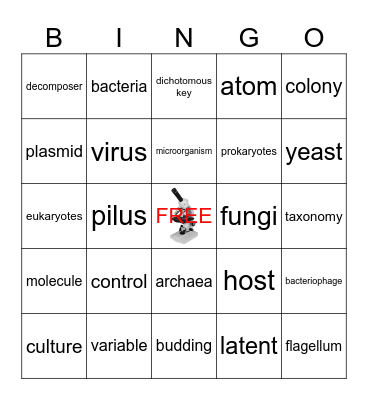 Inv 4 Bacteria, Fungi, Archaea Bingo Card