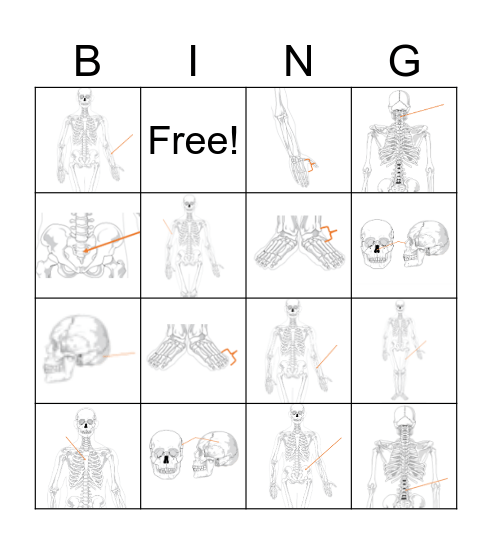 Bones, Bones, Bones Bingo Card