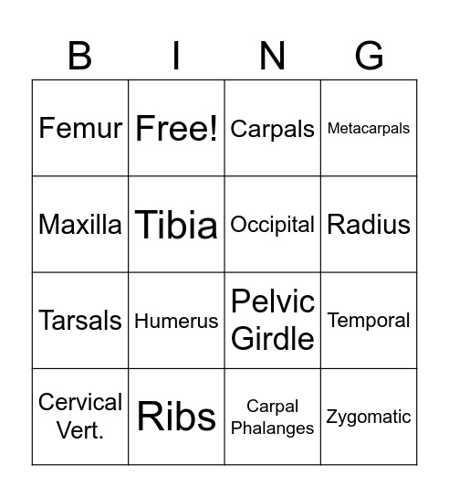 Bones, Bones, Bones Bingo Card