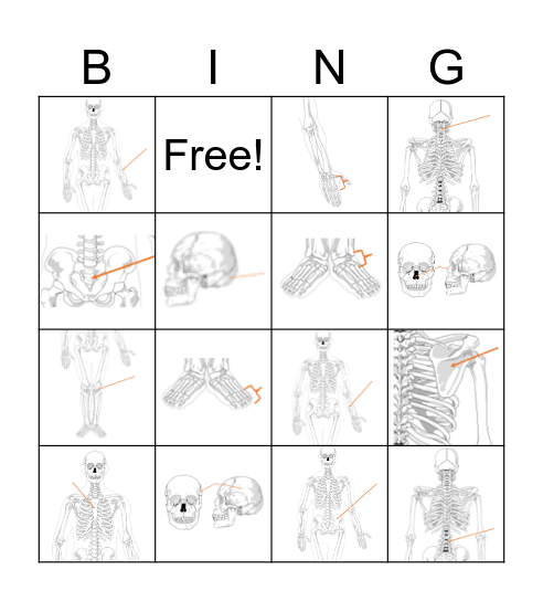 Bones, Bones, Bones - Images Bingo Card