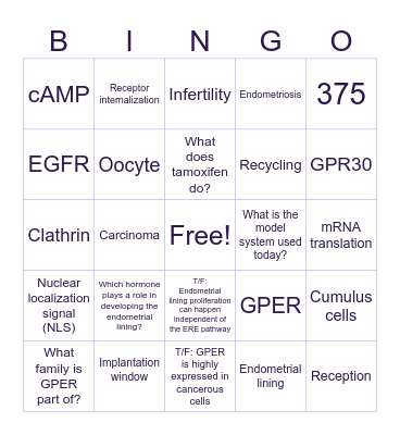 TEAM A -- INTERACTIVE ACTIVITY Bingo Card