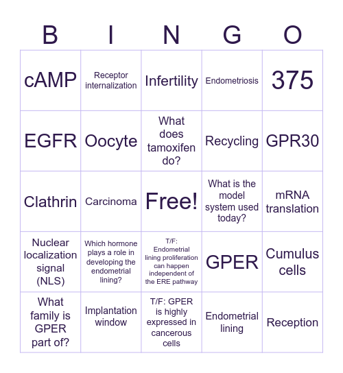TEAM A -- INTERACTIVE ACTIVITY Bingo Card