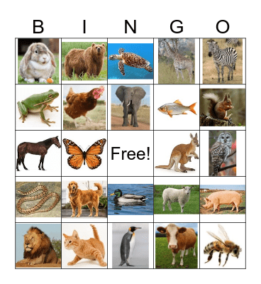 Animal Bingo! Bingo Card