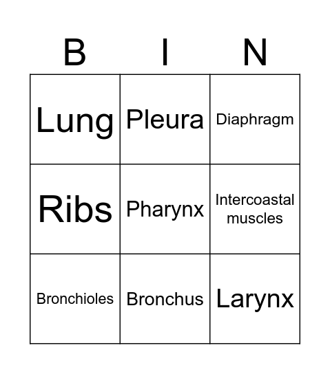 Function Bingo Card
