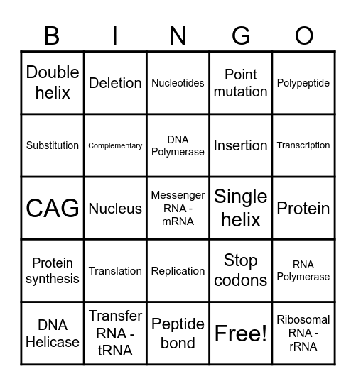 Protein Synthesis Bingo Card