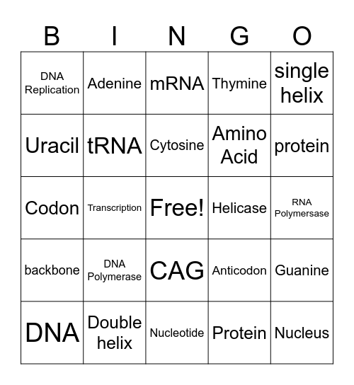 DNA and Protein Synthesis Bingo Card