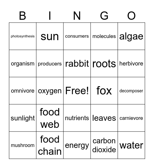 Ecosystem Restoration Bingo Card