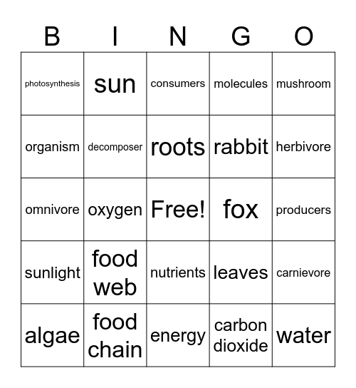 Ecosystem Restoration Bingo Card