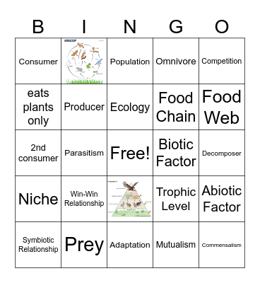 Interaction with Ecosystem Bingo Card