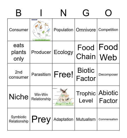 Interaction with Ecosystem Bingo Card