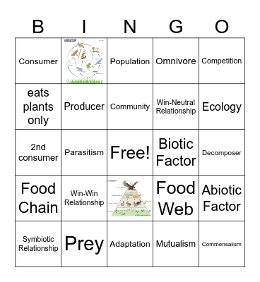Interaction with Ecosystem Bingo Card