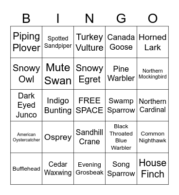 Bird Bingo Card