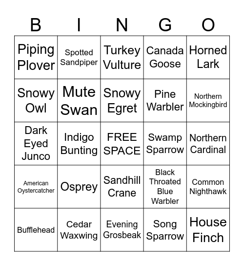 Bird Bingo Card