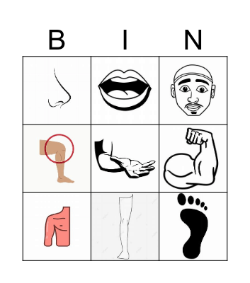 Parts of the body Bingo Card