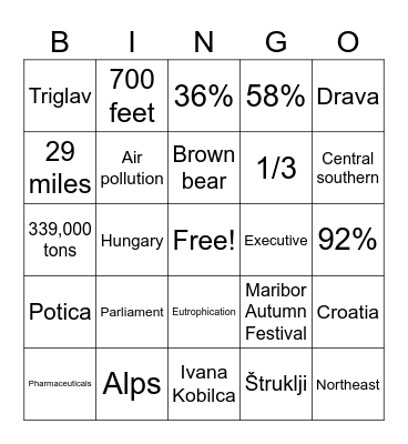 Slovenia Bingo Card