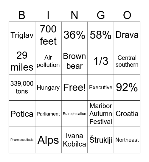 Slovenia Bingo Card