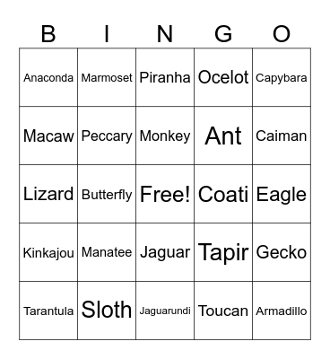 Rainforest Animal Bingo Card