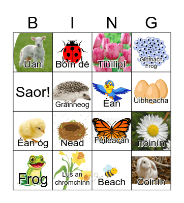 An tEarrach Bingo Card