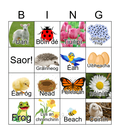 An tEarrach Bingo Card