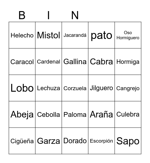 Bingo Biológico Bingo Card