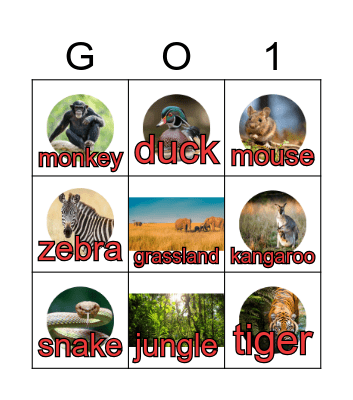 Pictures & Words Bingo Card