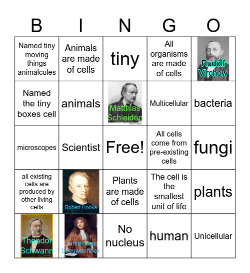 Cell Theory Bingo Card