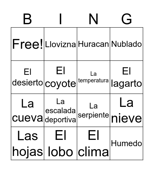 Vocabulario 9.1 Bingo Card