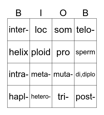 Bio B Word Parts Bingo Card