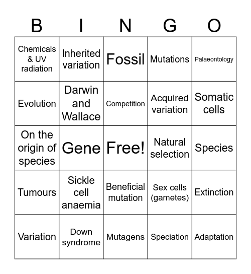Variation and Evolution Bingo Card
