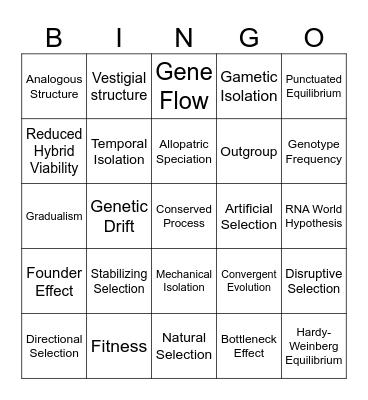 Evolution Bingo Card