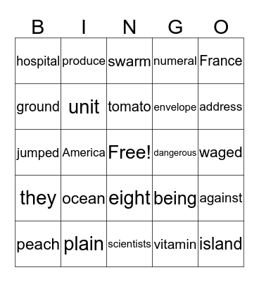 3rd Grade (multisyllabic, vowel teams, HFW) Bingo Card