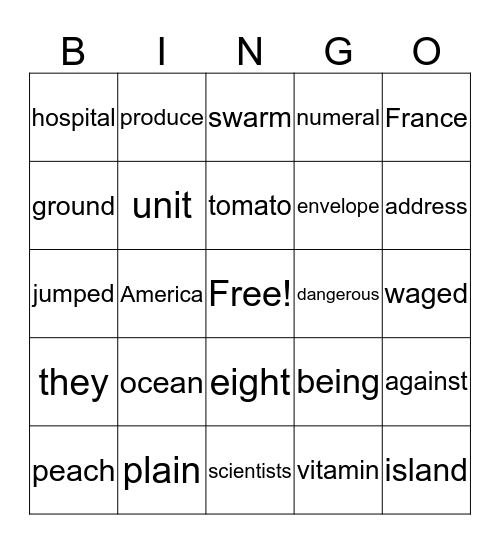 3rd Grade (multisyllabic, vowel teams, HFW) Bingo Card