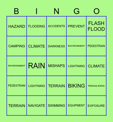 ENVIRONMENTAL HAZARD Bingo Card