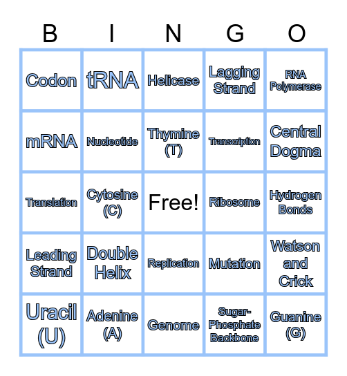 Nucleic Acids BINGO! Bingo Card