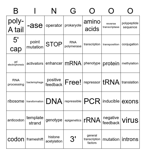 Gene Expression Bingo Card