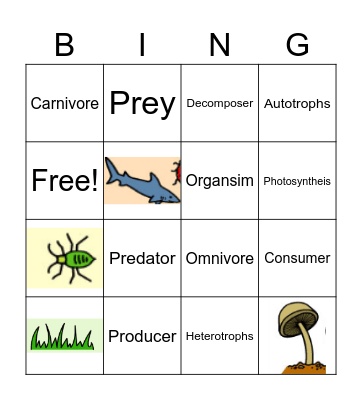 Food Chain Bingo Card