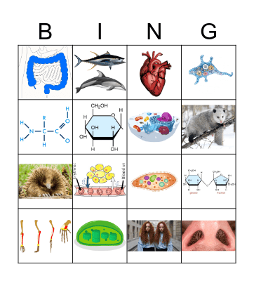 MP III BINGO Card