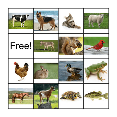 Animal Bingo Card