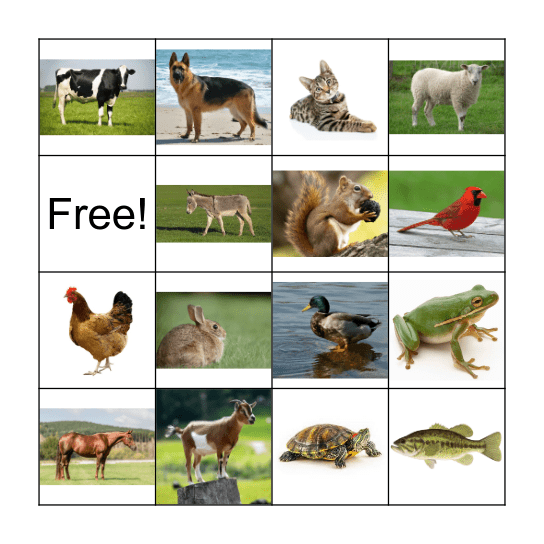 Animal Bingo Card