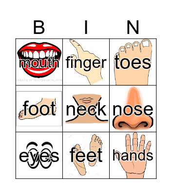 body parts  Bingo Card